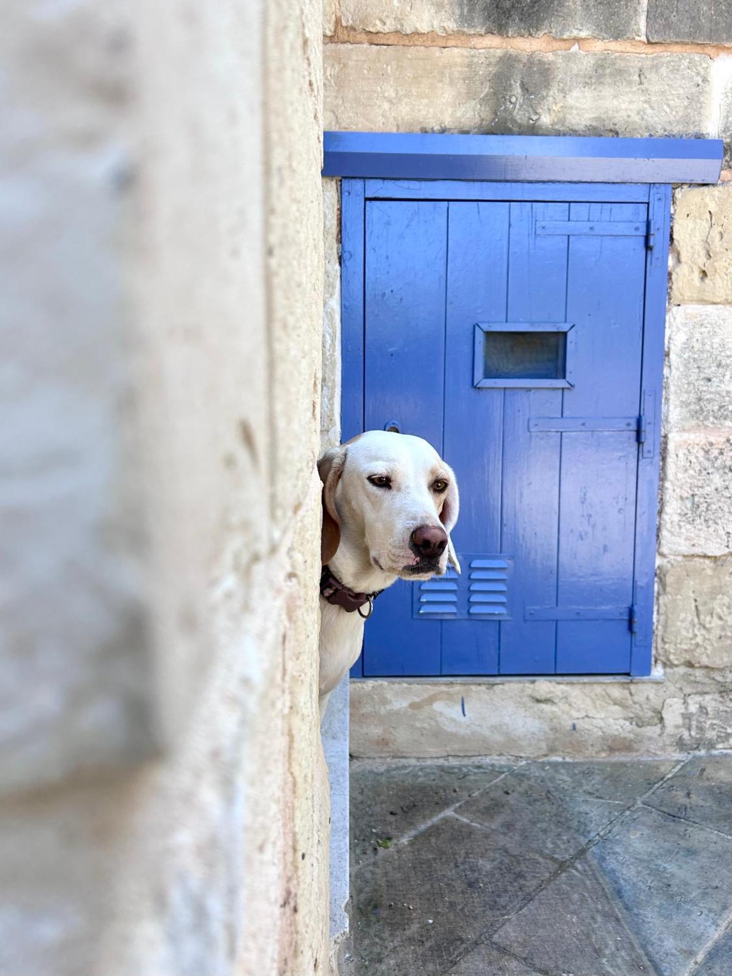 Ta Skorba Farmhouse Mgarr L-Imgarr Extérieur photo